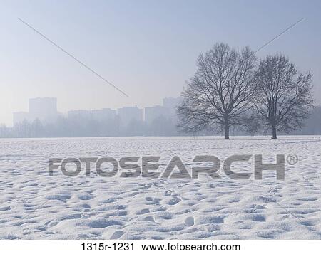 Italy, Piedmont, Turin, Snowy park with building in background View Large Photo Image Stock Image - Italy, Piedmont, Turin, Snowy park with building in background. Fotosearch