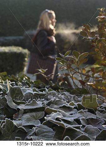 Italy, Piedmont, Turin, Woman walking across garden View Large Photo Image Stock Image - Italy, Piedmont, Turin, Woman walking across garden. Fotosearch