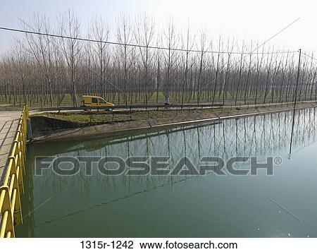 Italy, Piedmont, Woman cycling along canal path following by yellow vehicle View Large Photo Image Stock Image - Italy, Piedmont, Woman cycling along canal path following by yellow vehicle. Fotosearch