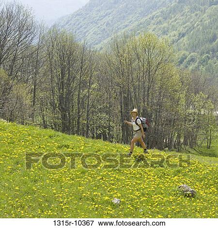 Stock Photo - Italy, Piedmont, Woman hiking up through green field of dandelion flowers. Fotosearch