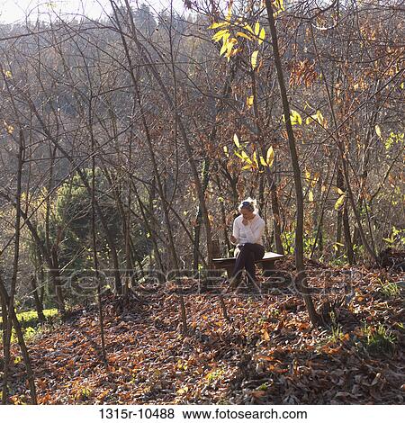 Italy, Piedmont, Woman sitting on bench in wood and text messaging View Large Photo Image Stock Photo - Italy, Piedmont, Woman sitting on bench in wood and text messaging. Fotosearch