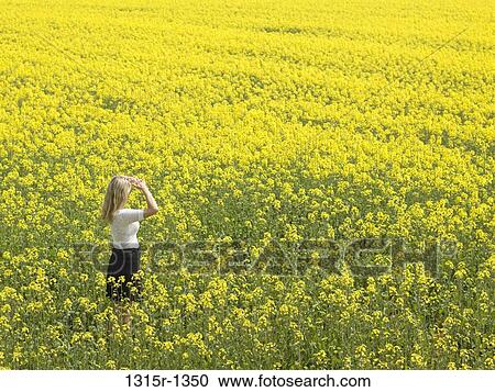 Stock Image - Italy, Piedmont, Woman standing in canola field. Fotosearch