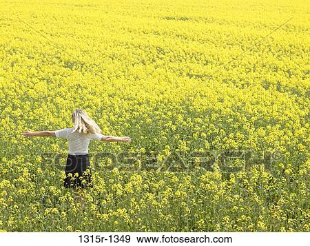 Italy, Piedmont, Woman standing in canola field View Large Photo Image Stock Photo - Italy, Piedmont, Woman standing in canola field. Fotosearch
