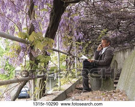 Italy, View through wisteria blossoms to businessman talking on cell phone, at park, View Large Photo Image Stock Image - Italy, View through wisteria blossoms to businessman talking on cell phone, at park,. Fotosearch