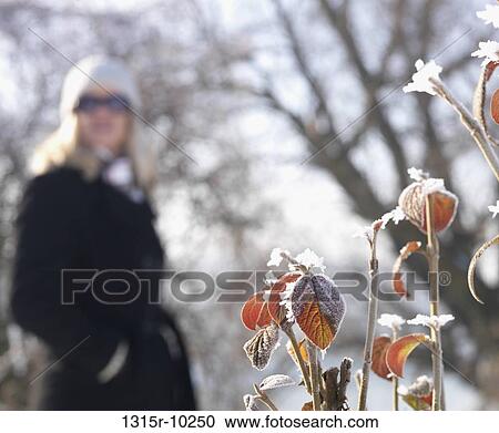 Italy, Woman behind frosted autumn leaves View Large Photo Image Stock Image - Italy, Woman behind frosted autumn leaves. Fotosearch