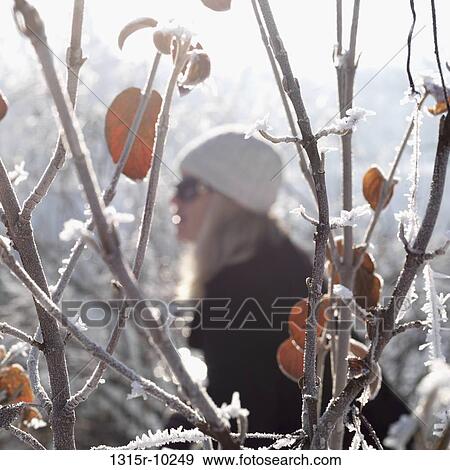 Italy, Woman behind frosted autumn leaves View Large Photo Image Stock Photo - Italy, Woman behind frosted autumn leaves. Fotosearch