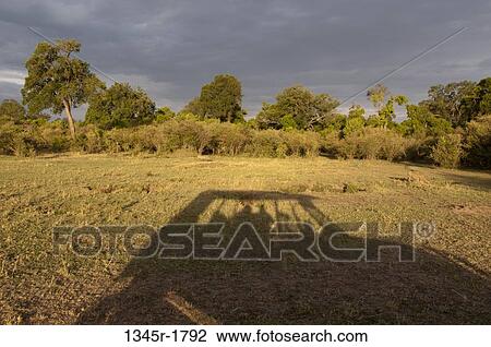 Kenya, Masai Mara National Reserve, Shadow of safari vehicle on savannah View Large Photo Image Stock Image - Kenya, Masai Mara National Reserve, Shadow of safari vehicle on savannah. Fotosearch