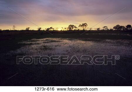 Lake during sunset, Los Llanos, Colombia View Large Photo Image Stock Photograph - Lake during sunset, Los Llanos, Colombia. Fotosearch