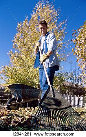 Stock Image - Low angle view of a mid adult man raking the yard. Fotosearch