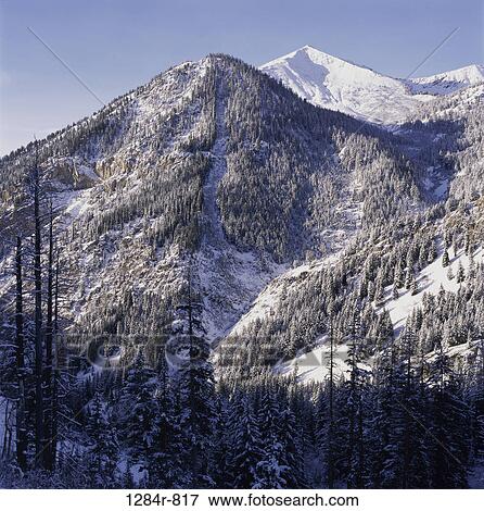 Mountain range and trees View Large Photo Image Stock Photo - Mountain range and trees. Fotosearch