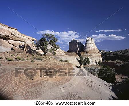 Navajo Sandstone, Paria Canyon Wilderness, Utah, USA View Large Photo Image Stock Photography - Navajo Sandstone, Paria Canyon Wilderness, Utah, USA. Fotosearch