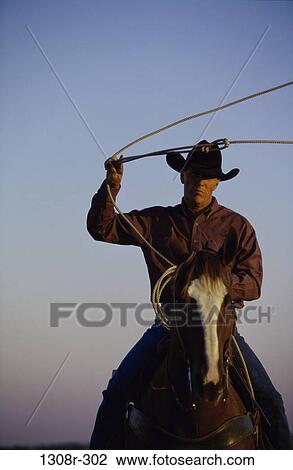 Portrait of a cowboy riding a horse holding a lasso View Large Photo Image Stock Image - Portrait of a cowboy riding a horse holding a lasso. Fotosearch