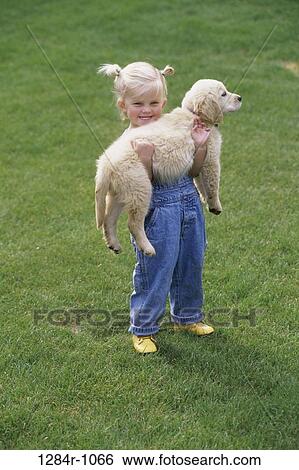 Portrait of a girl carrying a puppy in her arms View Large Photo Image Stock Photograph - Portrait of a girl carrying a puppy in her arms. Fotosearch