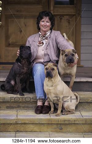 Picture - Portrait of a mid adult woman sitting outside with three dogs. Fotosearch