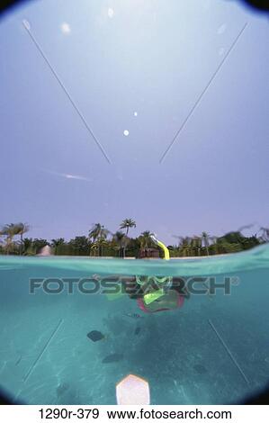 Portrait of a young woman swimming underwater View Large Photo Image Stock Photo - Portrait of a young woman swimming underwater. Fotosearch