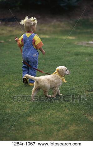 Rear view of a girl holding a leash walking on a lawn View Large Photo Image Stock Photo - Rear view of a girl holding a leash walking on a lawn. Fotosearch