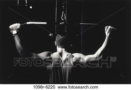 Rear view of a young man exercise on a lateral pull-down weight machine View Large Photo Image Stock Image - Rear view of a young man exercise on a lateral pull-down weight machine. Fotosearch