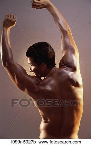 Rear view of a young man flexing his muscles View Large Photo Image Stock Image - Rear view of a young man flexing his muscles. Fotosearch