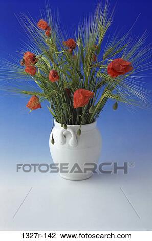 Red poppies in a vase View Large Photo Image Stock Image - Red poppies in a vase. Fotosearch