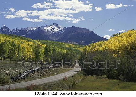 Road passing through a forest, Telluride, Colorado, USA View Large Photo Image Picture - Road passing through a forest, Telluride, Colorado, USA. Fotosearch