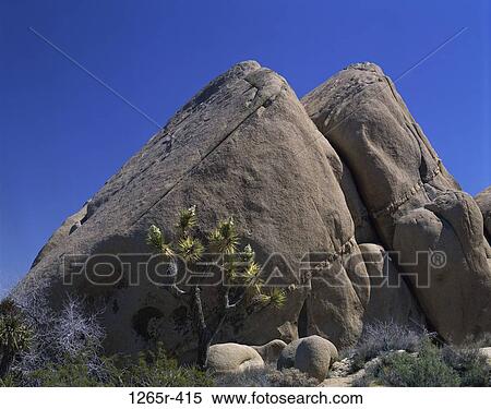 Rock formation at Joshua Tree National Park, California, USA View Large Photo Image Stock Photography - Rock formation at Joshua Tree National Park, California, USA. Fotosearch