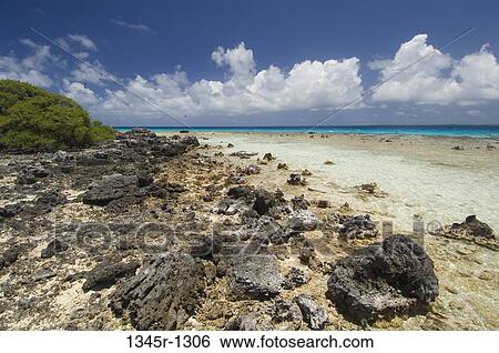 Stock Photograph - Rocks on the beach, Bird Island, Tikehau, Tuamotu Archipelago, French Polynesia. Fotosearch