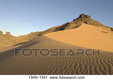 Sand dunes in a desert, Tadrart Acacus, Fezzan, Libya View Large Photo Image Stock Image - Sand dunes in a desert, Tadrart Acacus, Fezzan, Libya. Fotosearch