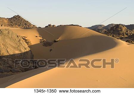 Sand dunes in a desert, Tadrart Acacus, Fezzan, Libya View Large Photo Image Stock Image - Sand dunes in a desert, Tadrart Acacus, Fezzan, Libya. Fotosearch