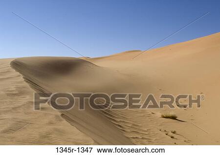Sand dunes in a desert, Tadrart Acacus, Fezzan, Libya View Large Photo Image Stock Photo - Sand dunes in a desert, Tadrart Acacus, Fezzan, Libya. Fotosearch