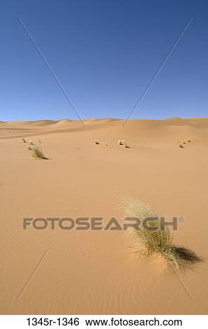 Sand dunes in a desert, Tadrart Acacus, Fezzan, Libya View Large Photo Image Stock Photograph - Sand dunes in a desert, Tadrart Acacus, Fezzan, Libya. Fotosearch