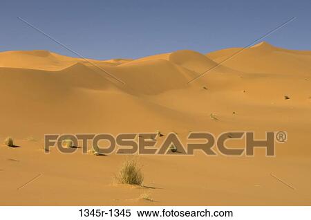 Sand dunes in a desert, Tadrart Acacus, Fezzan, Libya View Large Photo Image Stock Photography - Sand dunes in a desert, Tadrart Acacus, Fezzan, Libya. Fotosearch