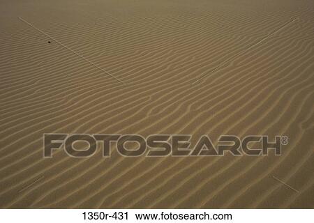 Sand dunes in the desert, Venezuela View Large Photo Image Stock Image - Sand dunes in the desert, Venezuela. Fotosearch