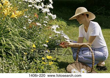 Side profile of a young woman gardening View Large Photo Image Stock Image - Side profile of a young woman gardening. Fotosearch