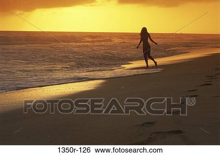 Silhouette of a young woman standing on the beach during sunset View Large Photo Image Stock Photograph - Silhouette of a young woman standing on the beach during sunset. Fotosearch