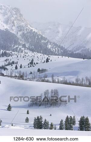 Snow covered landscape, Sun Valley, Idaho, USA View Large Photo Image Stock Image - Snow covered landscape, Sun Valley, Idaho, USA. Fotosearch
