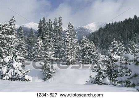 Stock Photo - Snow covered landscape, Sun Valley, Idaho, USA. Fotosearch