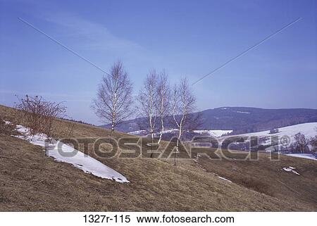 Snow on a hill, Czech Republic View Large Photo Image Stock Photography - Snow on a hill, Czech Republic. Fotosearch