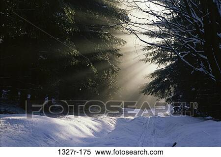 Snow on a road in the forest View Large Photo Image Stock Photography - Snow on a road in the forest. Fotosearch