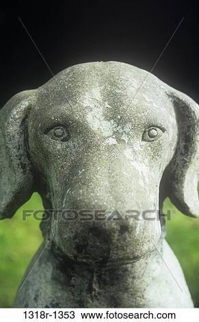 Stone statue of Labrador Retriever type of dog View Large Photo Image Stock Image - Stone statue of Labrador Retriever type of dog. Fotosearch