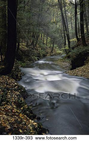 Stream flowing in the forest View Large Photo Image Stock Image - Stream flowing in the forest. Fotosearch