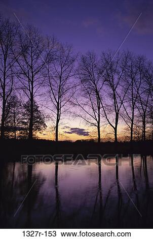 Sunrise over a lake View Large Photo Image Stock Image - Sunrise over a lake. Fotosearch