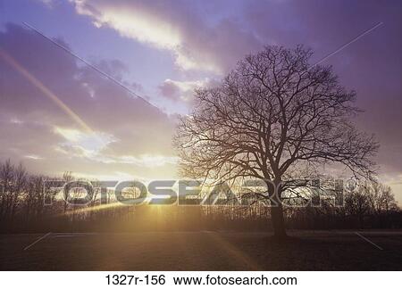 Sunset over a landscape View Large Photo Image Stock Photograph - Sunset over a landscape. Fotosearch