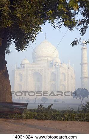Picture - The Taj Mahal seen through a morning ground fog at Agra, India in Uttar Pradesh state. Fotosearch