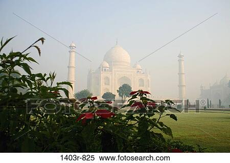 The Taj Mahal seen through the haze of a morning ground fog at Agra, India in Uttar Pradesh state View Large Photo Image Stock Photography - The Taj Mahal seen through the haze of a morning ground fog at Agra, India in Uttar Pradesh state. Fotosearch