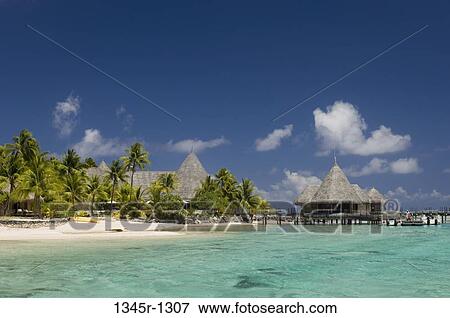 Tourist resort on the beach, Tikehau Pearl Beach Resort, Tikehau, Tuamotu Archipelago, French Polynesia View Large Photo Image Stock Photo - Tourist resort on the beach, Tikehau Pearl Beach Resort, Tikehau, Tuamotu Archipelago, French Polynesia. Fotosearch