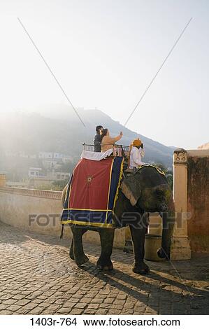 Tourists take an elephant ride up to Amber Fort in Jaipur, India in Rajasthan state. View Large Photo Image Picture - Tourists take an elephant ride up to Amber Fort in Jaipur, India in Rajasthan state.. Fotosearch