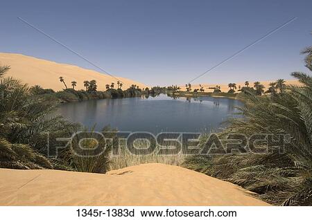 Trees at the lakeside, Lake Om-El-Ma, Erg Awbari, Fezzan, Libya View Large Photo Image Stock Image - Trees at the lakeside, Lake Om-El-Ma, Erg Awbari, Fezzan, Libya. Fotosearch