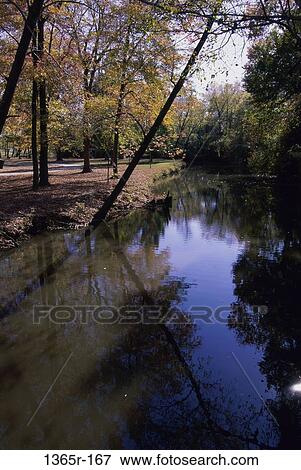Trees in autumn, Silver Lake Park, Dover, Delaware, USA View Large Photo Image Stock Photo - Trees in autumn, Silver Lake Park, Dover, Delaware, USA. Fotosearch