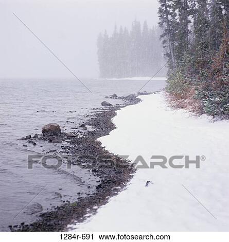 Trees on the banks of a river, Wyoming, USA View Large Photo Image Stock Image - Trees on the banks of a river, Wyoming, USA. Fotosearch