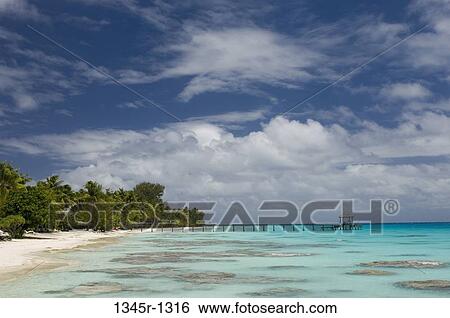 Trees on the beach, Fakarava, Tuamotu Archipelago, French Polynesia View Large Photo Image Stock Photograph - Trees on the beach, Fakarava, Tuamotu Archipelago, French Polynesia. Fotosearch